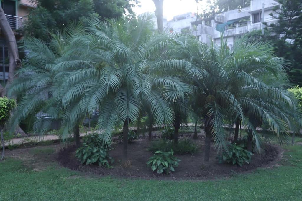 Divine India Service Apartment 3Bhk,B57 Sarita Vihar,Apollo New Delhi Extérieur photo