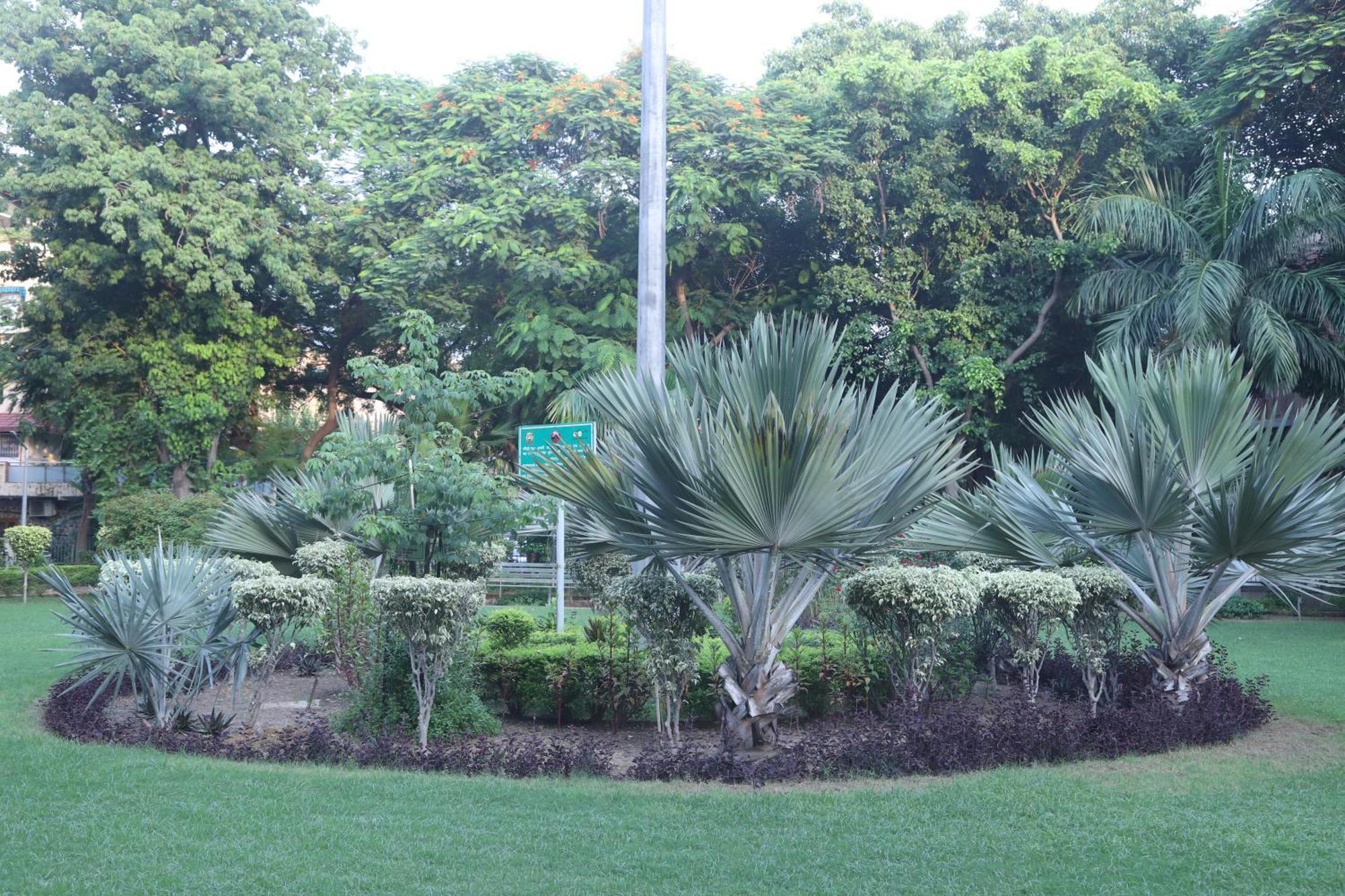 Divine India Service Apartment 3Bhk,B57 Sarita Vihar,Apollo New Delhi Extérieur photo